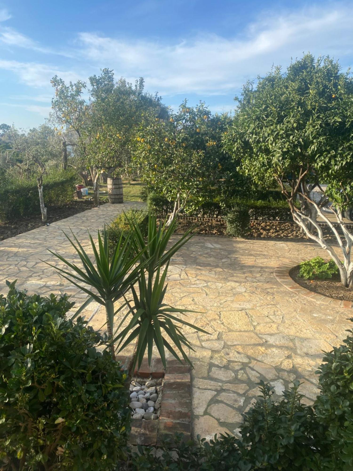 Hotel Dini Радима Экстерьер фото