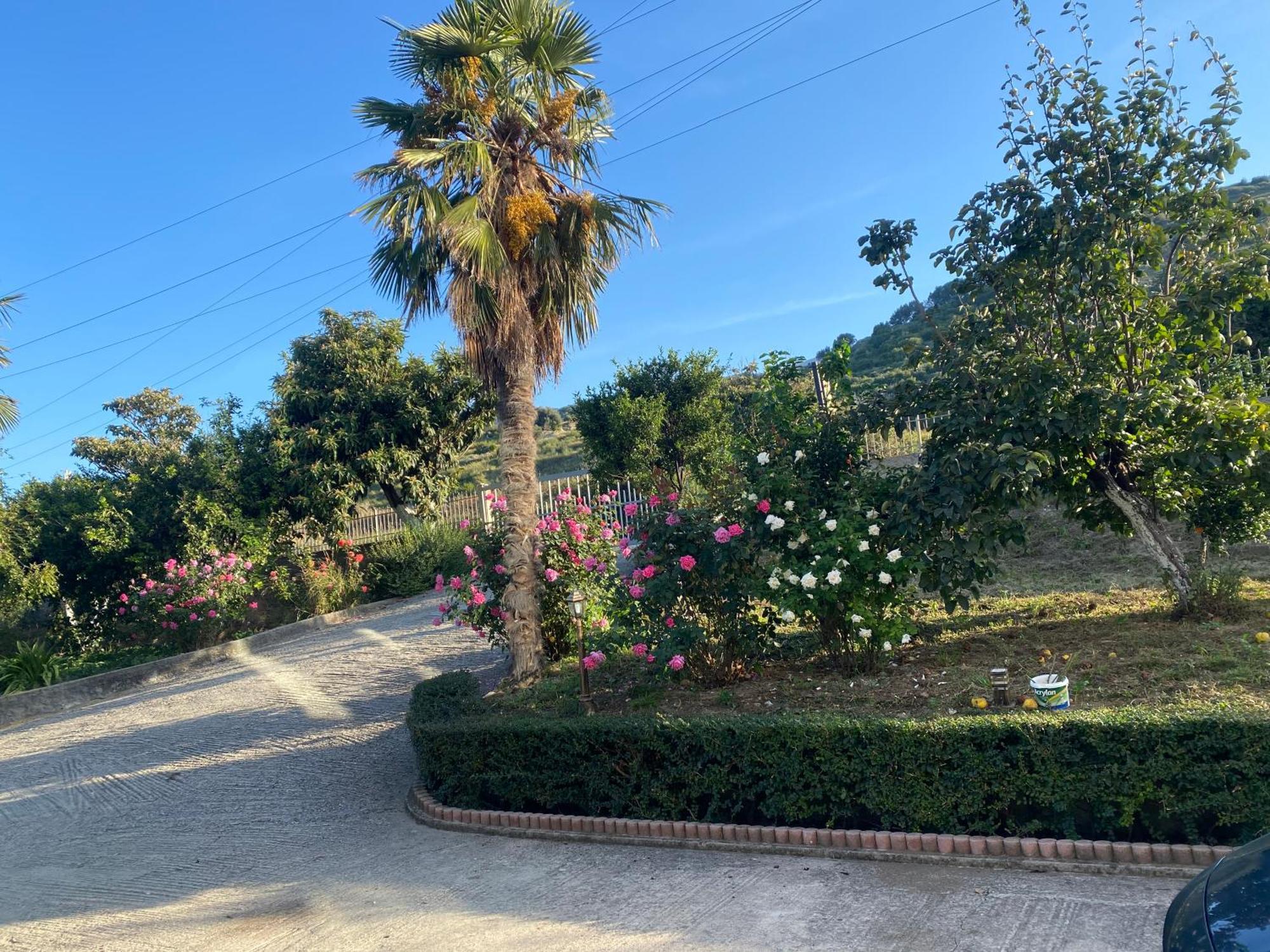 Hotel Dini Радима Экстерьер фото